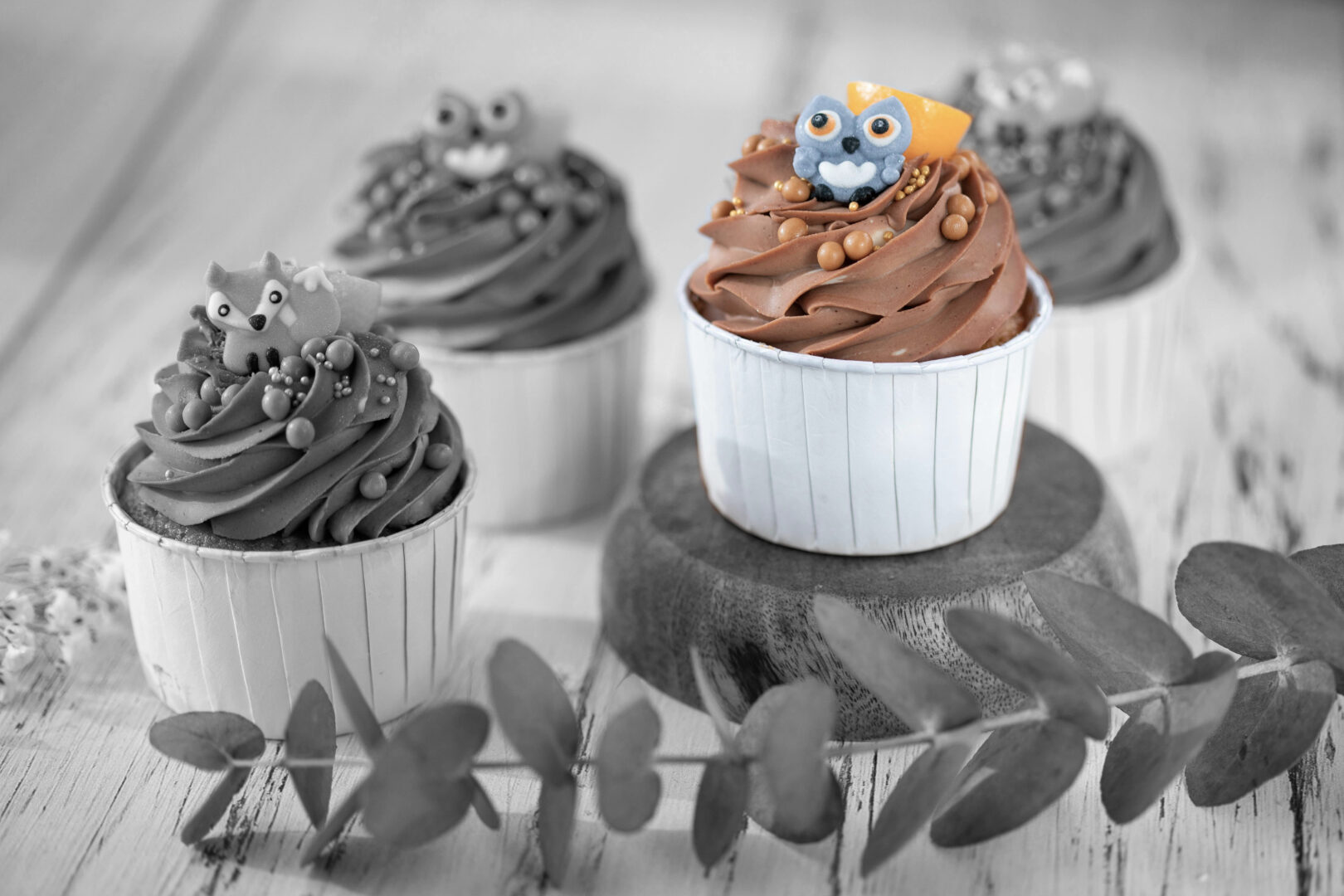 cupcakes